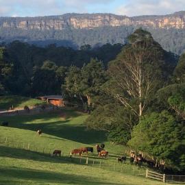 Amaroo Valley Springs, Hotel in Barrengarry