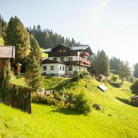 Pürstinghof, Hotel in Flachau