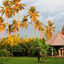 Bali Oase Resort