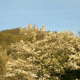Ferienwohnung Schlossblick