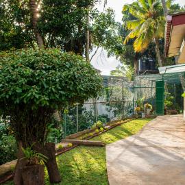 Udawatta Kele (UK) Forest Lodge