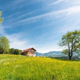 Chalet Hageberg ab Mai freie Fahrt mit Bergbahnen, Hotel in Bolsterlang