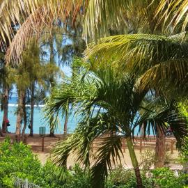 Villa Bienvenue Beachfront House