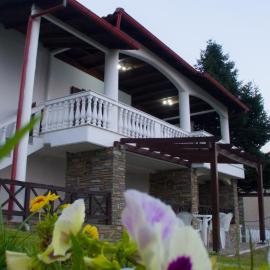 Villa Paradisos, hotel in Likóstomon