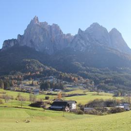 Feldererhof