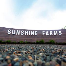 Sunshine Farms And Resort، فندق في شيلونغ