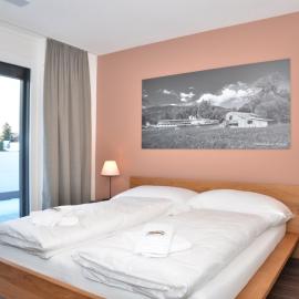 Apartment Anemone - GRIWA RENT AG, hotel u Interlakenu