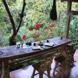 Finca San Rafael - Cafe y Cacao, מלון במינקה