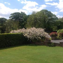 Woodview Lodge, Hotel in Chesterfield