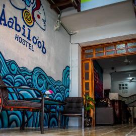 Casa de huespedes Áabilo'ob Hostel, Hotel in Progreso