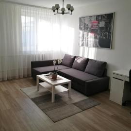 Vilnius Town Apartment