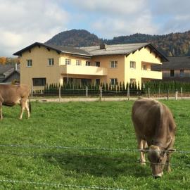 Ferienwohnung Thannen, khách sạn ở Lingenau