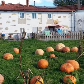 Albergue a Casina di Marcello, hotel in Palas de Rei