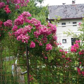 Vikend kuća Careva Ćuprija-apartman, hotel di Olovo