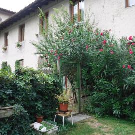 Stasion Di Pueste, hotel v destinaci Nogaredo