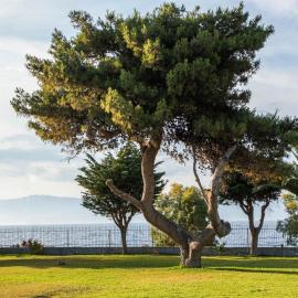 Punda 4 Seasons, hotel a Diakopto