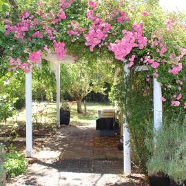Bellamona Cottage Longford: Longford şehrinde bir otel