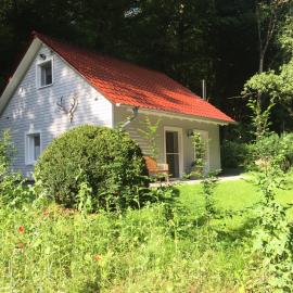 "das Waldhaus"
