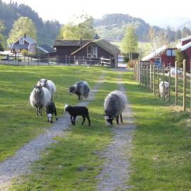 Skjerping gård, hotel en Lonevåg