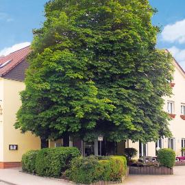Hotel & Gasthof Zum Löwen, hotel u gradu Ajzenbah