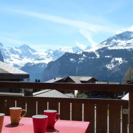 Chalet Bella Vista 6, hotel em Wengen