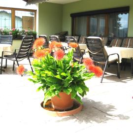 Gästehaus Steininger, hotel a Zwiesel