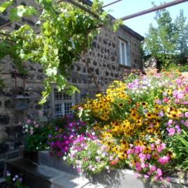 Ruzan Guesthouse