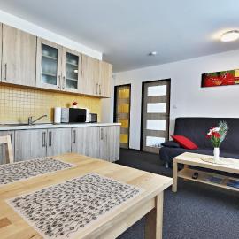Pension Česká