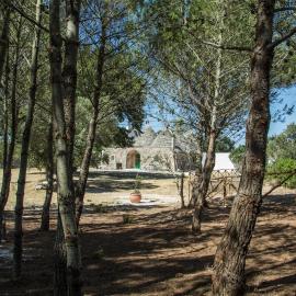 TRULLI CONTI Grande spazio alberato incontaminato- prenotazione esclusiva, hotel sa Cisternino