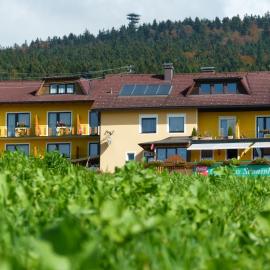 Landhotel SONNENHOF MotorradKrauk, hotel in Ulrichsberg