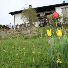 Haus Koblizek, Hotel in Waldkirchen