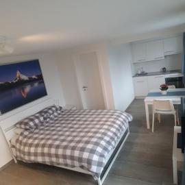 Lake View Private Studio, hotel u gradu Richterswil