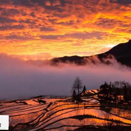 Green Hostel & Sunny Guesthouse, hotell i Yuanyang