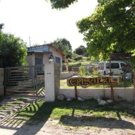 Crisol 21