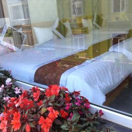Mr Rot's Secret Hotel