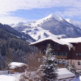 Altachhof Hotel und Ferienanlage - Jokercard im Sommer inklusive