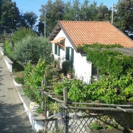 The Cottage