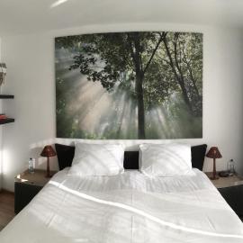 Apartment Gronau, hotell sihtkohas Gronau