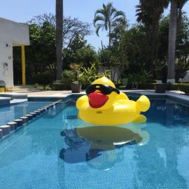 Residencia Jacarandas, khách sạn ở Cuernavaca