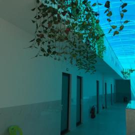 Hotel MAI TUAN Chánh Môn A