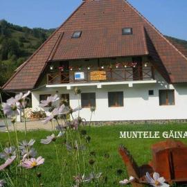 Pensiunea Muntele Gaina, Hotel in Tîrsa