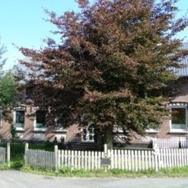 Fewo Bendig, hotel in Neuendorf-Sachsenbande