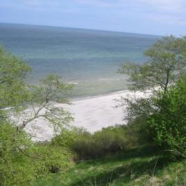 Ferienwohnung am Nordstrand, Hotel in Putgarten