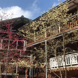 靜思廬森林會館, hotel a Lugu