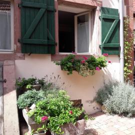 charmant petit appartement en Alsace, hotel a Bouxwiller