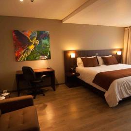 Hotel Manso de Velasco, hotel u gradu San Fernando