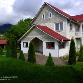 Casa Andrei Vatra Dornei, hotel in Dealu Floreni
