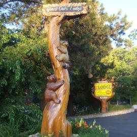 Giant Oaks Lodge, hotel in Running Springs
