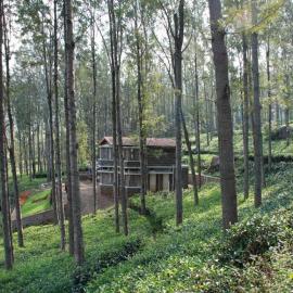Hospitality Expert TVE BBQ Bonfire Chef, hotel in Kotagiri