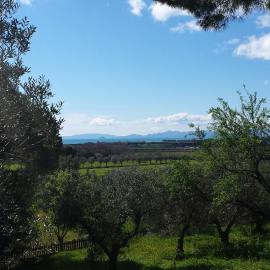 Agriturismo Tenuta di Vignale